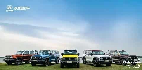 年轻人第一辆硬派越野怎么选?2025十大爆款车型全解析