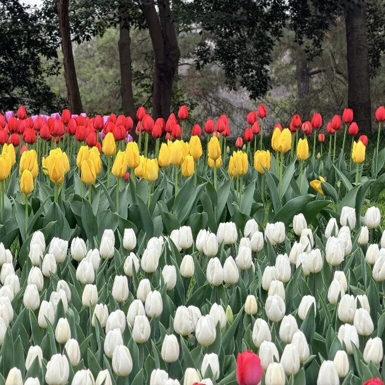 3月15日起，杭州西湖景区停车收费有调整！