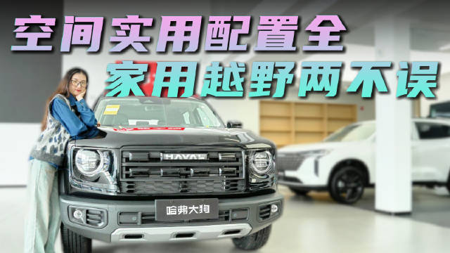 裸车9.89万起 月销超6千台以上 哈弗大狗哪款配置性价比高？