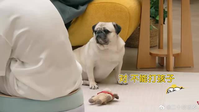 难怪被向太选中当儿媳，谢依霖爆料郭碧婷：这女人不好惹