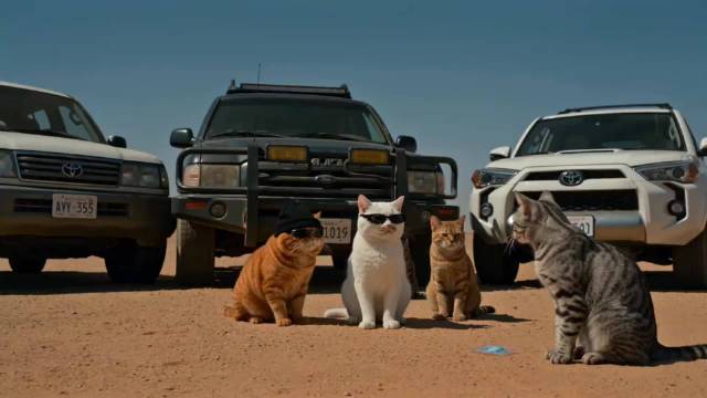 绝命毒师喵版名场面来了 ，这集老白是彻底飘了 Now！say my name！