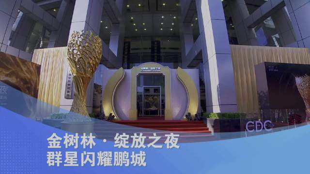 金树林·绽放之夜 群星闪耀鹏城