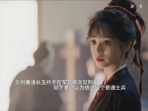 谢征樊长玉褪伪装以将军女将身份重逢