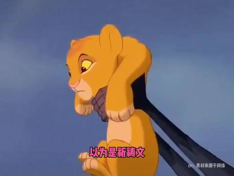 终于知道狮子王到底在唱什么了，能指望一只狒狒想出什么高级词