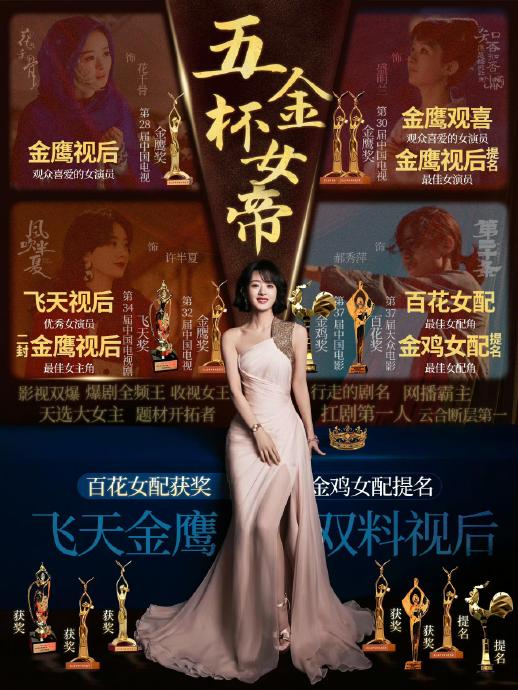 除了白玉兰，赵丽颖还在哪些重要电视剧奖项上获得过认可？