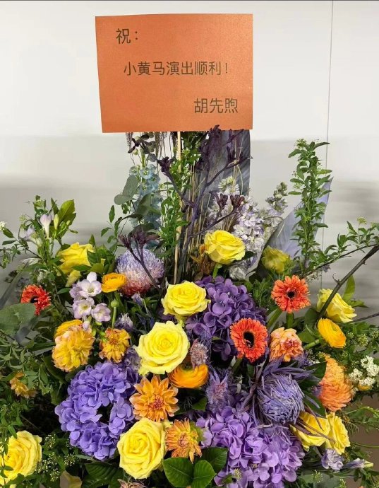 胡先煦现身黄子弘凡鸟巢演唱会，手持应援棒与邓佳鑫等好友嗨翻全场