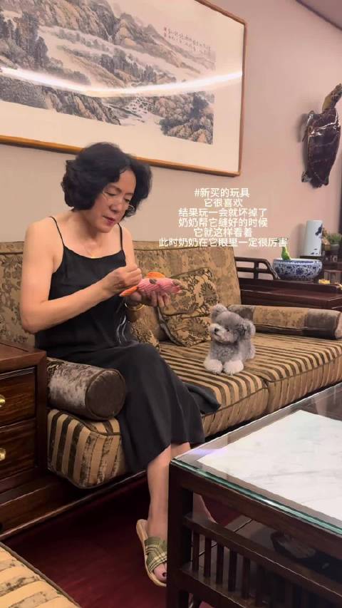 此刻奶奶在小狗眼里就是超人吧