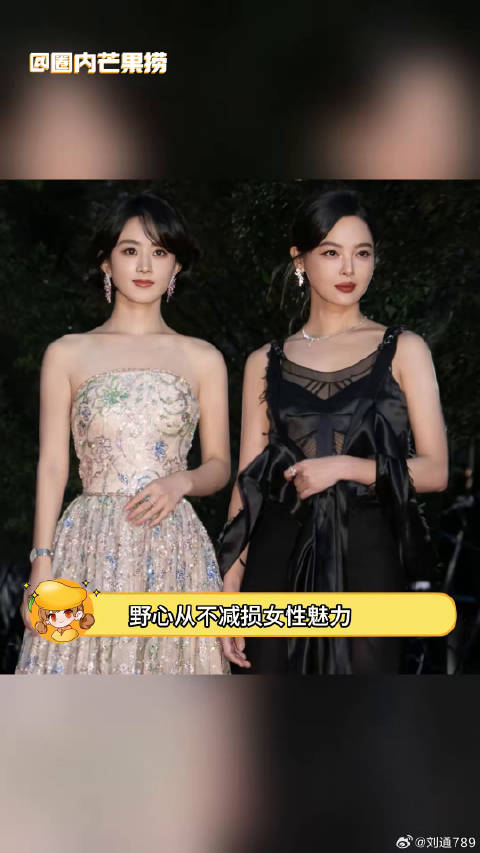 大乔小乔双双拿奖辛芷蕾 影后