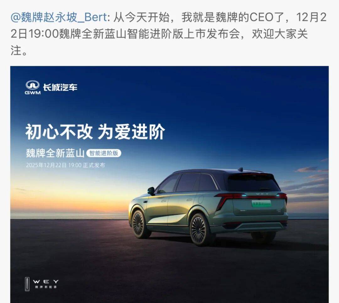 “中国还没有严格意义上的高端品牌”