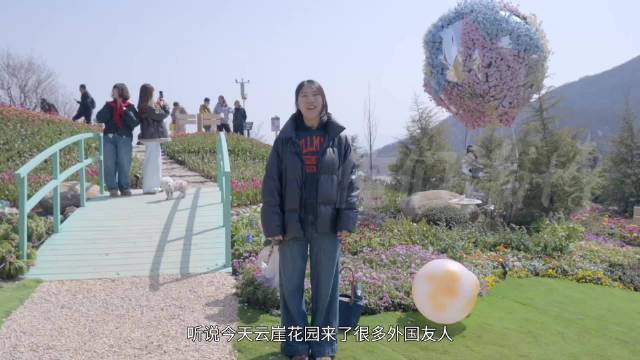 俺们淄博丨红叶柿岩“云崖花园”多国青年现场“认领”春天