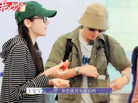 迪丽热巴胡先煦东北话互怼，花儿与中老年阵容曝光