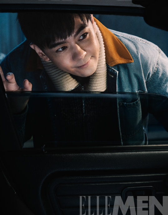 林志颖作为职业赛车手，拥有哪些重要的比赛经历和冠军荣誉？