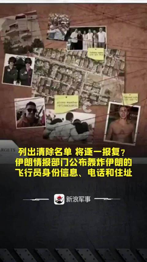 伊朗公布飞行员信息