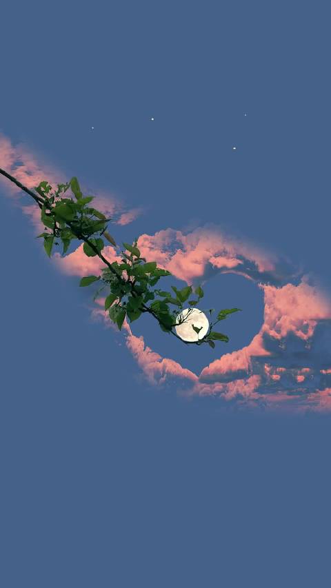 ins｜薄荷曼波壁纸∘˚˚˟˖⭒˚