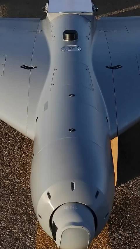 米国山寨小摩托视频引争议