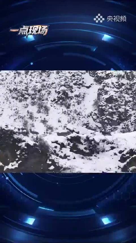 新疆伊犁北山羊高山秀绝技，岩壁攀爬如履平地