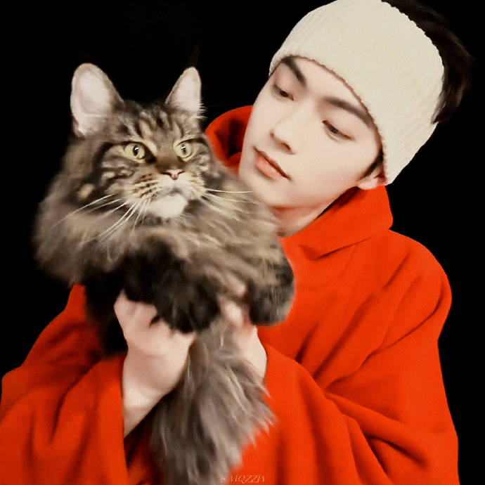 许凯2025年12月23日更新痘印展示撸猫日常