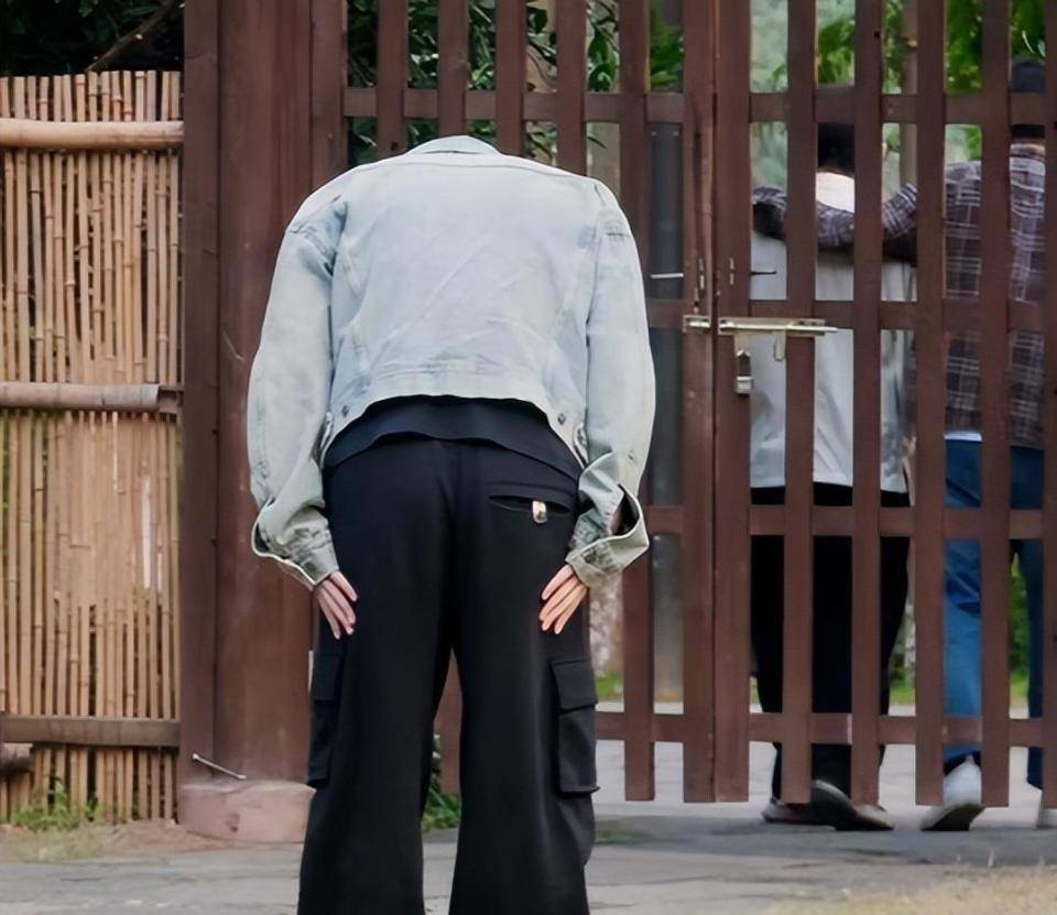 黄磊挥泪告别《向往的生活》,何炅陪伴在侧,张艺兴等四人鞠躬致敬