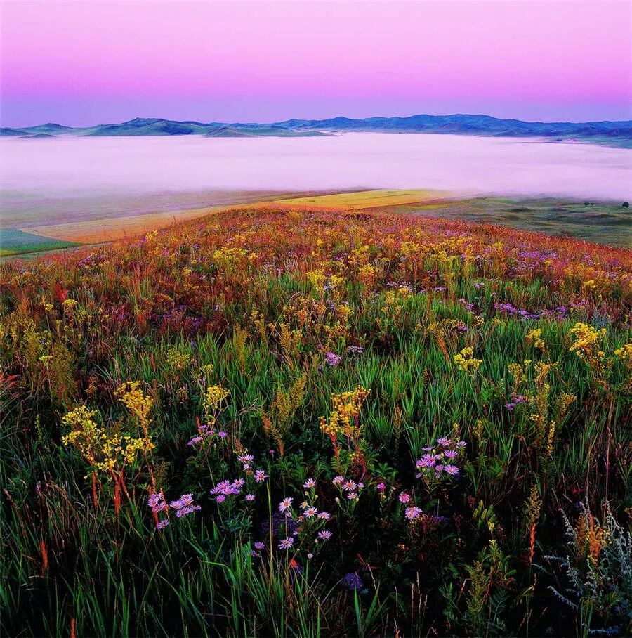 摄影发烧友必去!中国十大拍摄胜地丨10 sacred places for photographers in China