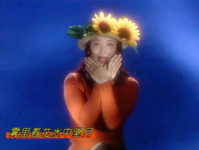 那英《雾里看花》原来是315打假歌