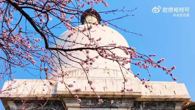 北京繁花盛放穆祉丞献唱春意浓