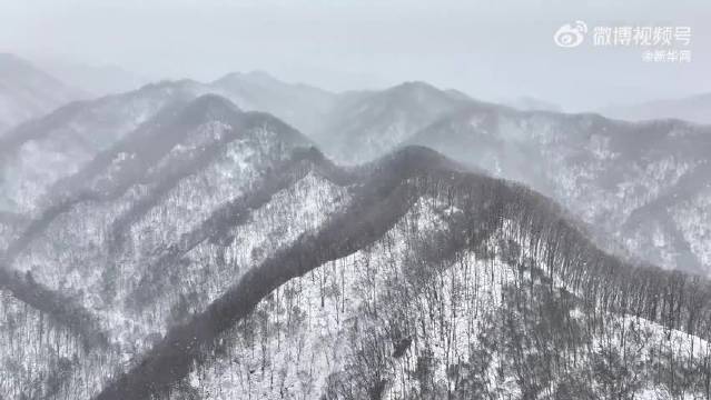 雪花与山茱萸花邂逅