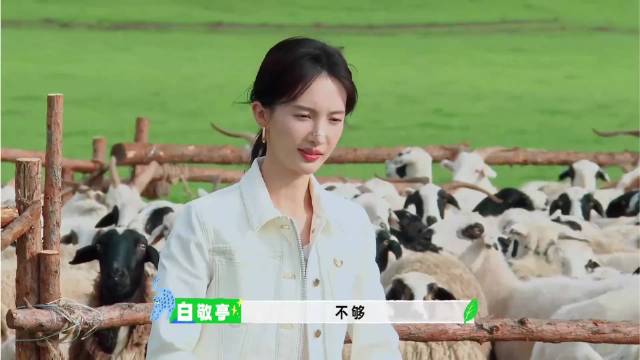 造句简直太慢了吧，金晨等的都快睡着了，疯狂的骚扰刘昊然丨出发