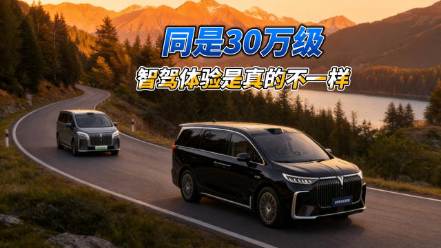 30万级MPV智驾对比，岚图梦想家冠军版与高山8差异显著
