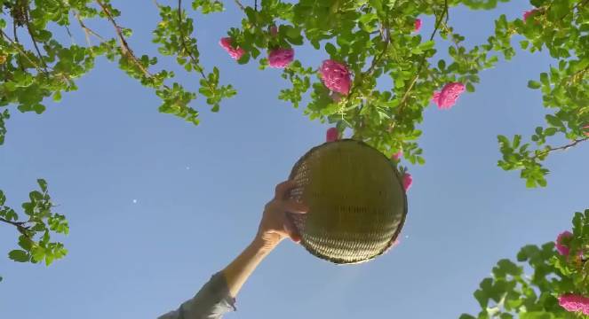 20部电影经典台词道尽人生百态