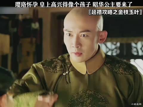 《延禧攻略》璎珞怀孕皇上欣喜，昭华公主将至