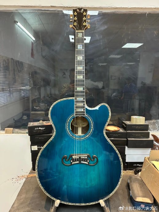 谢霆锋2025年巡演中使用的那把定制吉他有什么特别之处？