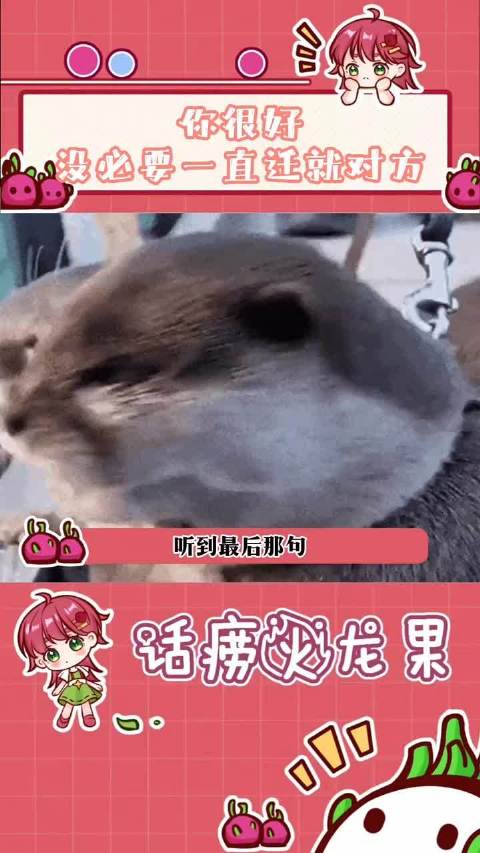 你很好没必要一直迁就对方！