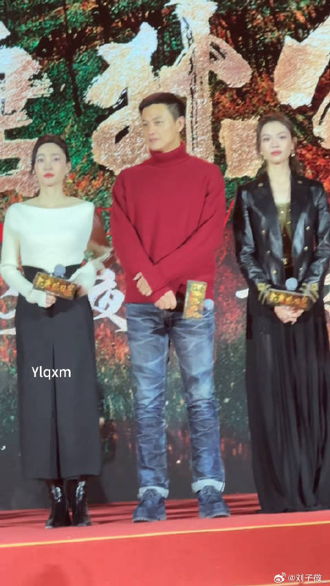 王丽坤 大唐狄公案 发布会 三位状态如何？