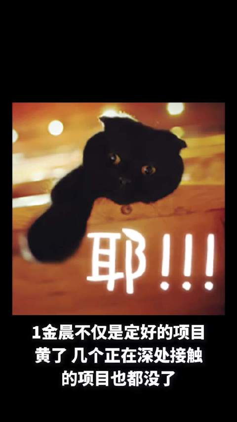 金晨多个项目搁浅急寻出路，范丞丞称电影资源靠自身努力