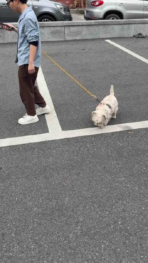 各位船船，这是拖把嘛，风韵犹存呀