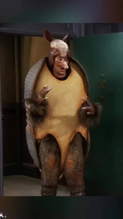 没有圣诞老人，只有“佳节犰狳”