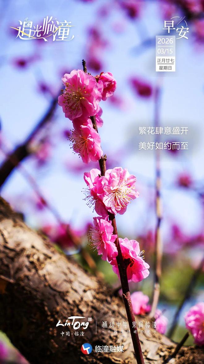 追光临潼 | 繁花肆意盛开 美好如约而至