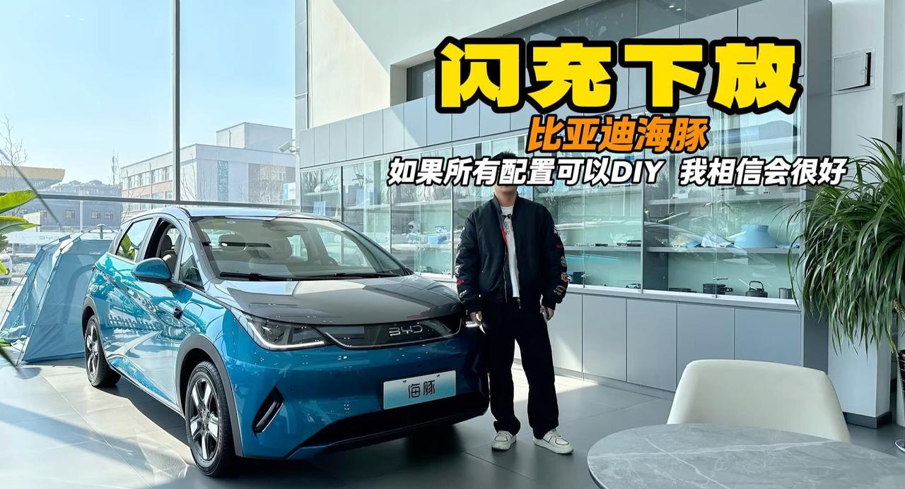 视频：如果闪充下放比亚迪海豚 还能DIY配置 会重启销量吗