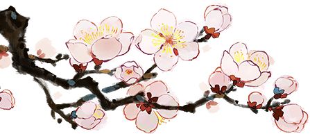 《玉茗茶骨》定档12月29日,看侯明昊娜扎携手破局