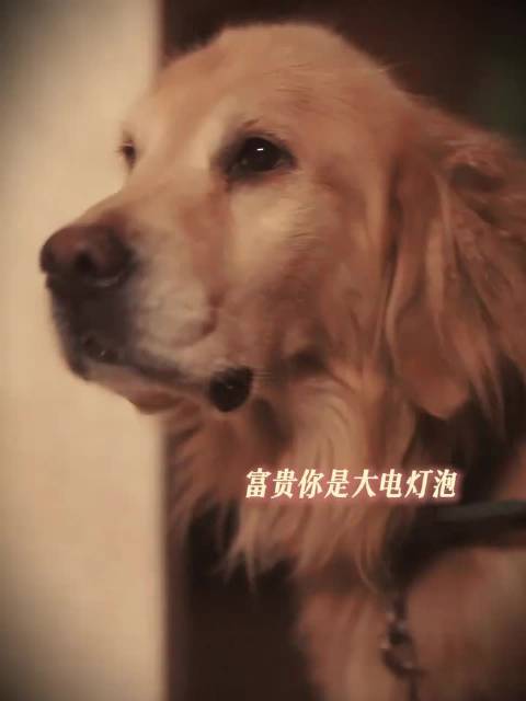 余茵从短剧到长剧转型成功，演技获赞路子稳