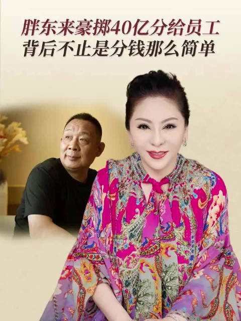 向太谈胖东来分40亿