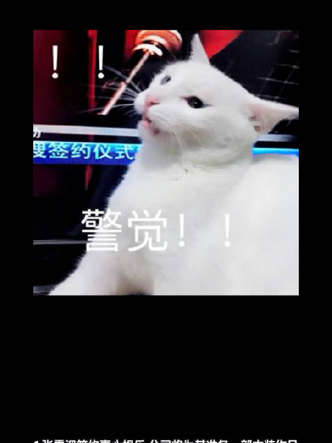 张雪迎签约壹心娱乐将拍古装剧，刘若英点歌事件发酵后致歉并宣传新剧，欧阳娜娜家人不满其恋爱关系，明侦密逃系列启动选角