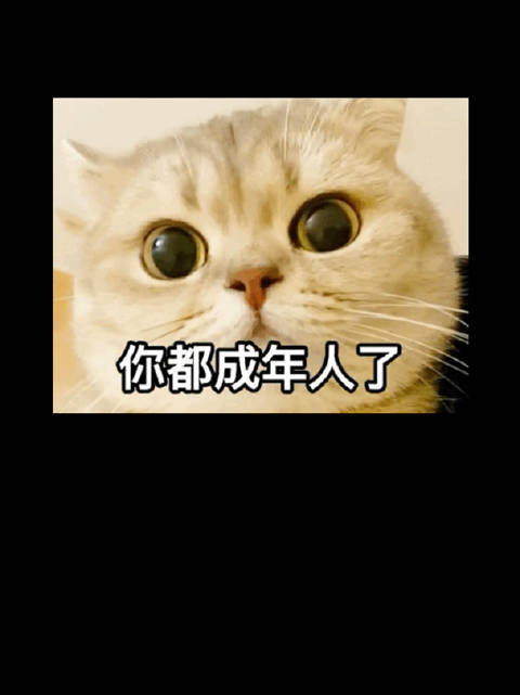 大S珠宝未留子女转赠外甥女，王楚然成迪奥大使，王天辰获公司力捧，鹿晗状态回春