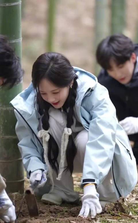 李一桐竹林挖笋被赞天选种田文女主