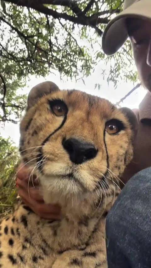 小摩托一直响！