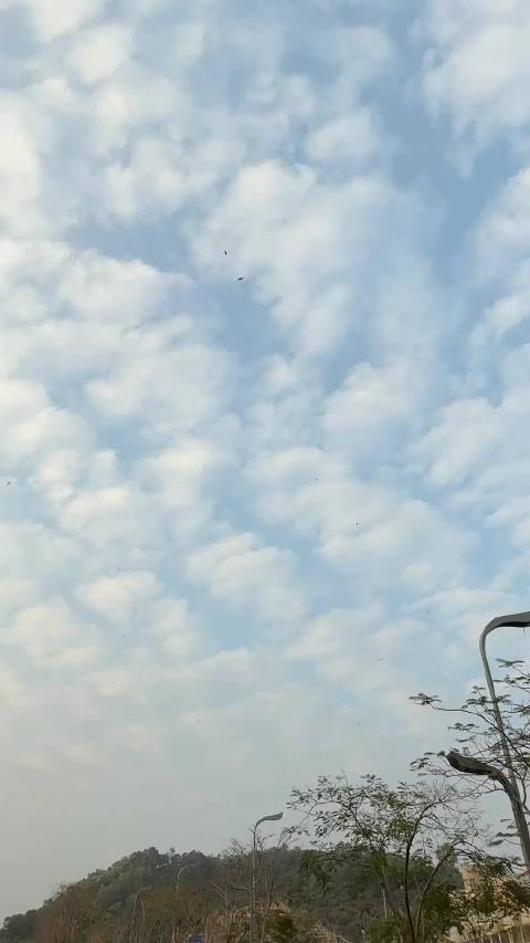 邓凯谈演技与内心淡定，Ella评瞿颖缺陷与芬芳