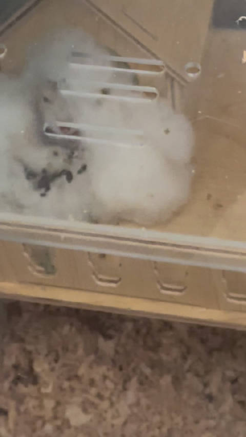 就算睡着了一开门也会越狱