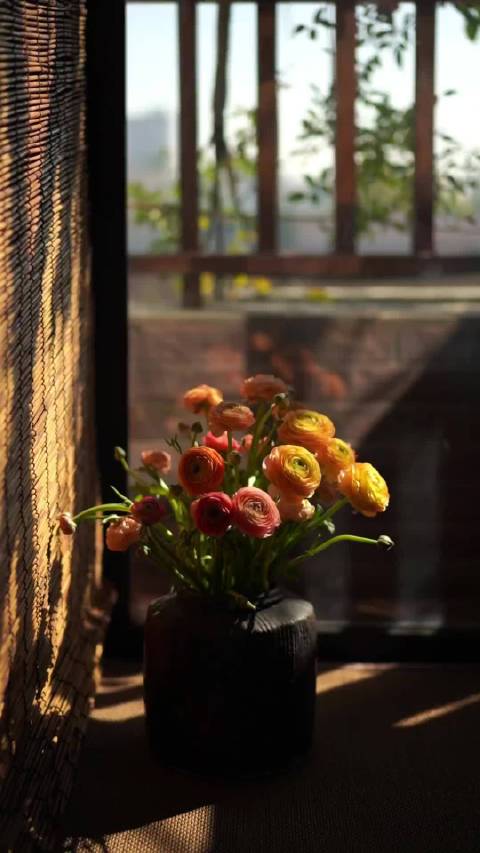 熊猫与萤火虫传递生活哲理：行动即未来，微光亦方向