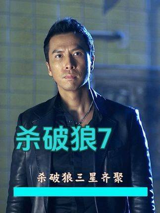 当杀破狼三位将星齐聚一堂，宿命的齿轮便悄然转动，因果轮回随之展开