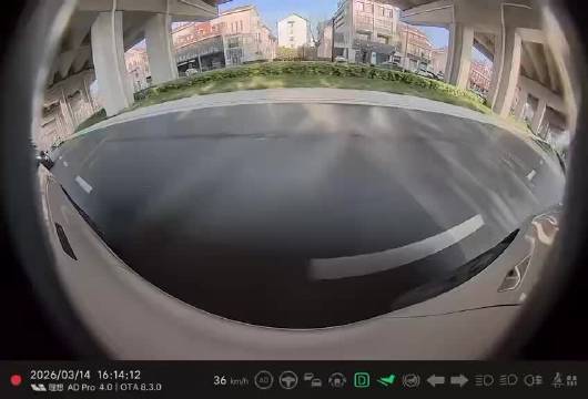 这种情况视频车有责任吗？